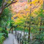 Abhinandan Lodha Vrindavan